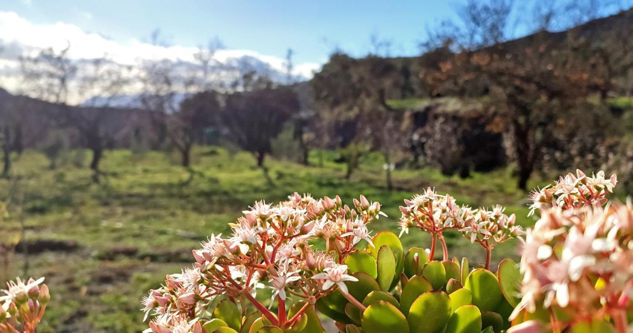 Bayacas Cortijo Aguacha 빌라 외부 사진