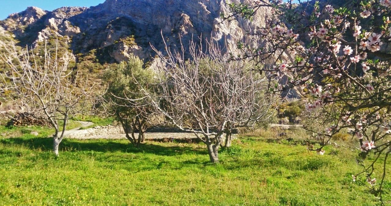 Bayacas Cortijo Aguacha 빌라 외부 사진