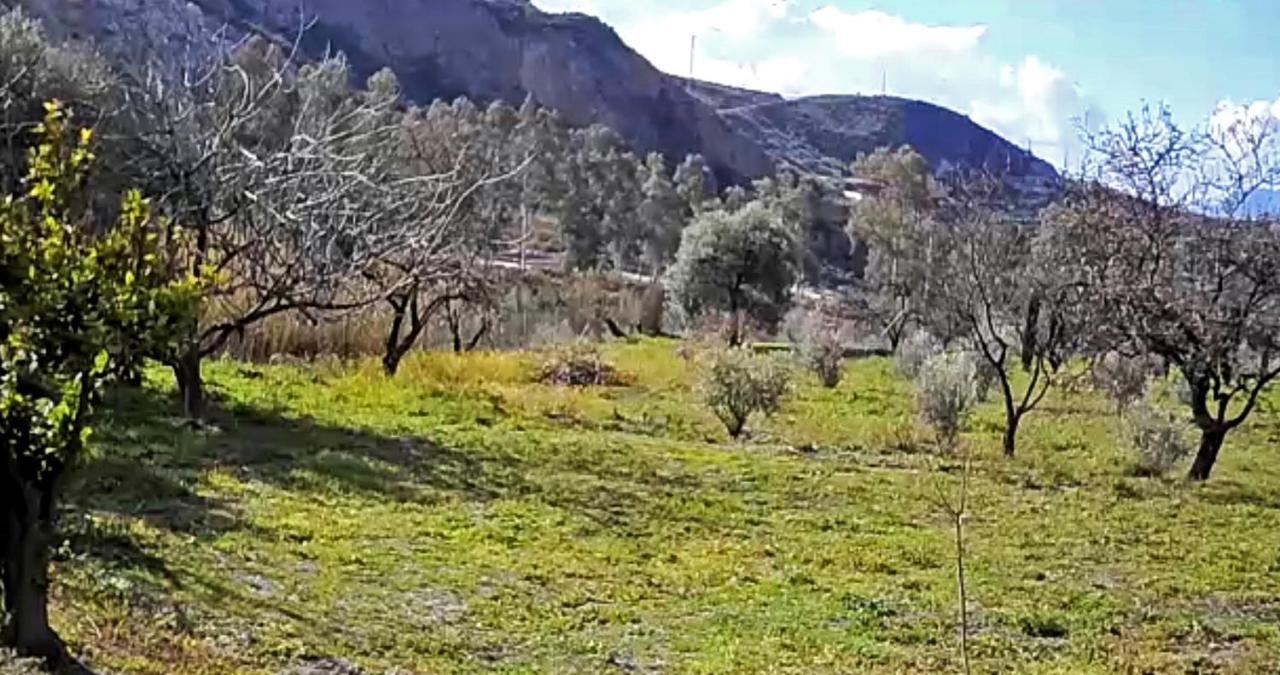 Bayacas Cortijo Aguacha 빌라 외부 사진
