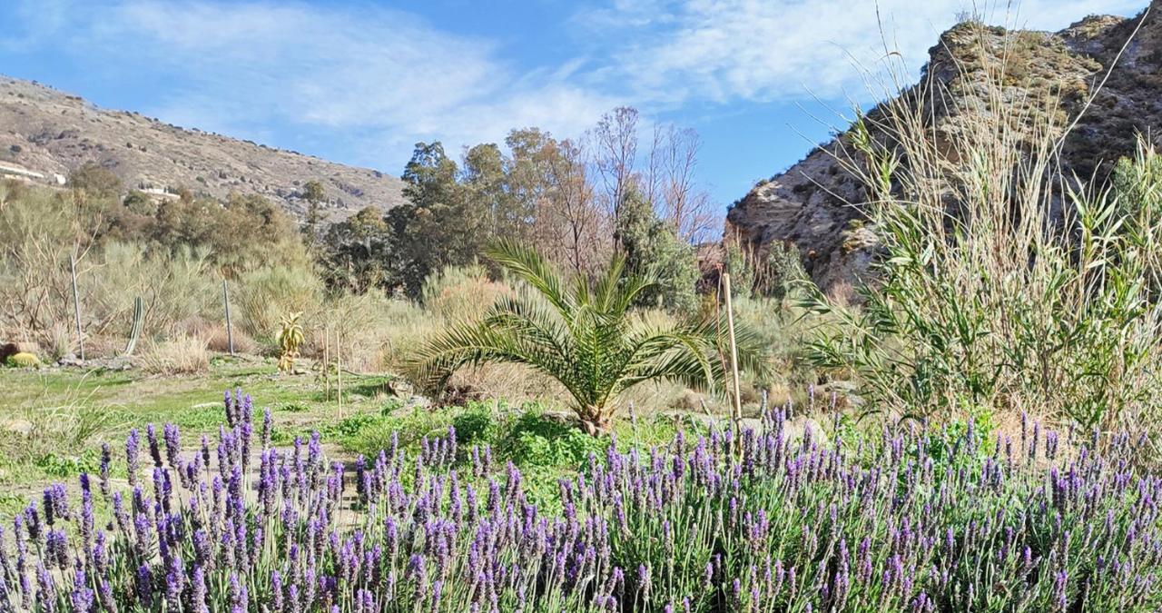 Bayacas Cortijo Aguacha 빌라 외부 사진