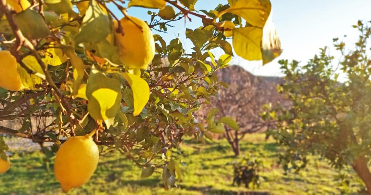 Bayacas Cortijo Aguacha 빌라 외부 사진