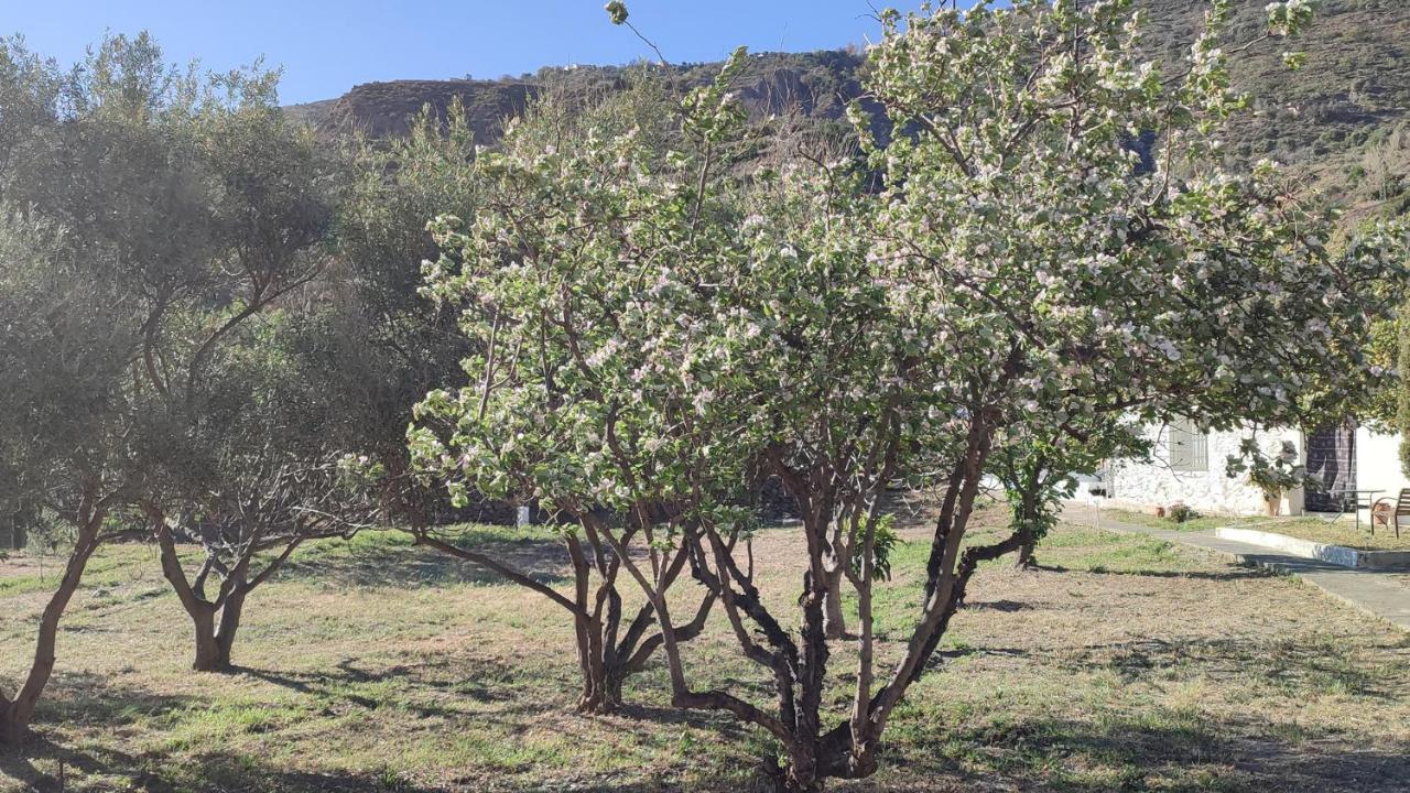 Bayacas Cortijo Aguacha 빌라 외부 사진