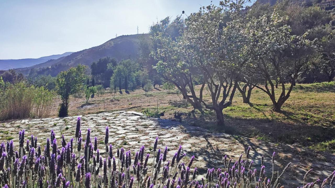 Bayacas Cortijo Aguacha 빌라 외부 사진