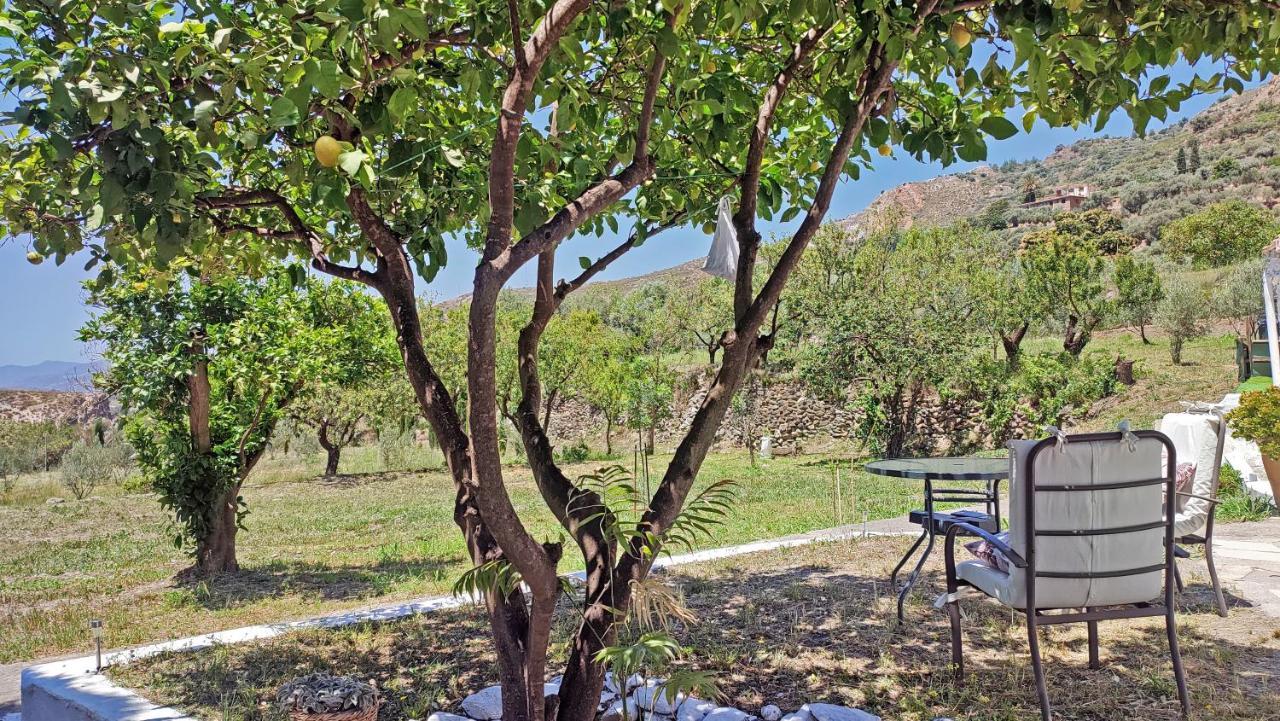 Bayacas Cortijo Aguacha 빌라 외부 사진